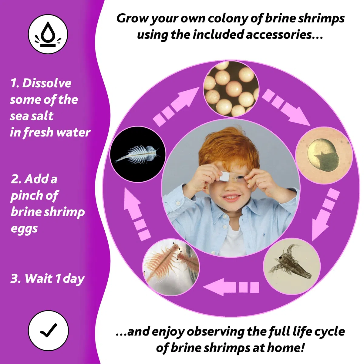 Levenhuk LabZZ M101 Amethyst STEM Microscopio per Bambini con Zoom 640x, Luce a LED, Kit Scientifico, Portatile di Vetrini Preparati, Giocattolo Regalo Educativi, Libro con Esperimenti, 4+ Anni (EN)