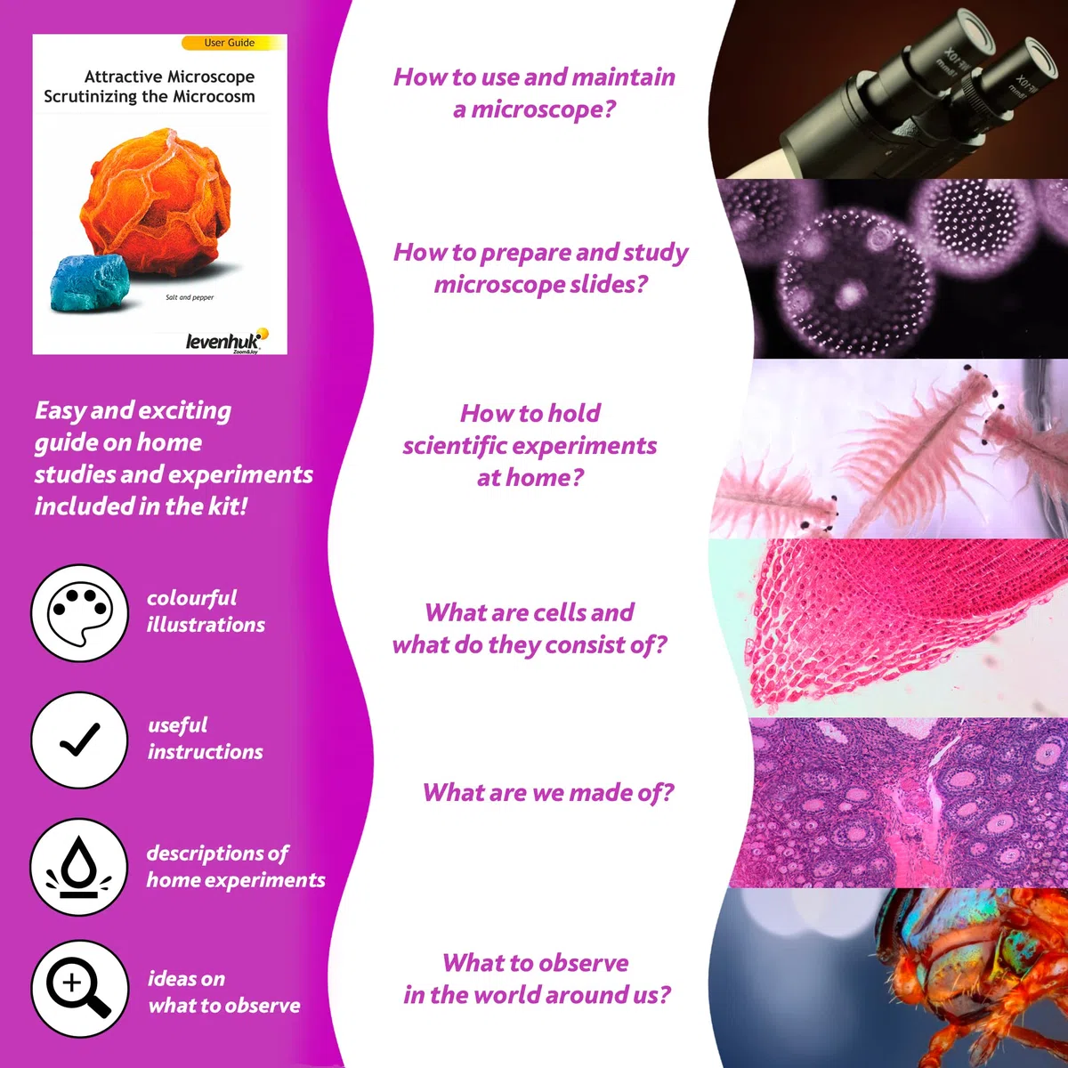 Levenhuk LabZZ M101 Amethyst STEM Microscopio per Bambini con Zoom 640x, Luce a LED, Kit Scientifico, Portatile di Vetrini Preparati, Giocattolo Regalo Educativi, Libro con Esperimenti, 4+ Anni (EN)
