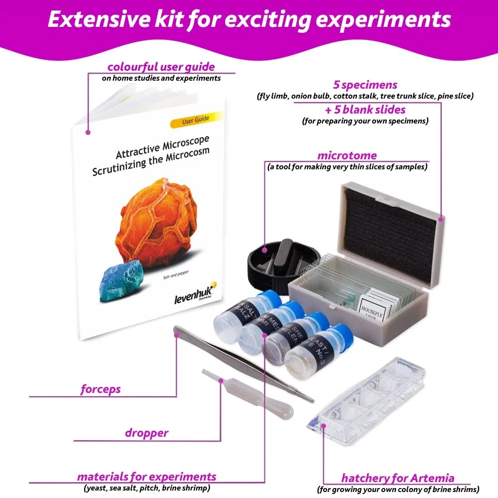 Levenhuk LabZZ M101 Amethyst STEM Microscopio per Bambini con Zoom 640x, Luce a LED, Kit Scientifico, Portatile di Vetrini Preparati, Giocattolo Regalo Educativi, Libro con Esperimenti, 4+ Anni (EN)